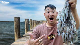 Hand Catching HUGE Amount of Shrimp | Catch, Clean, Cook!