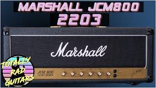 Marshall JCM800 2203 - In Depth Review