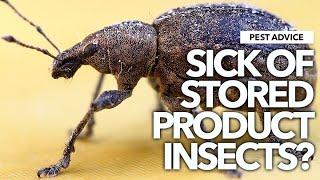 A-Z of Pests: Pest advice for Controlling Stored Product Insects (SPIs)