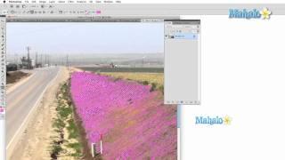 Photoshop Tutorial - Select Menu