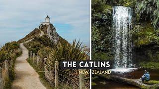 The Catlins National Park | Hiking New Zealand | Road Trip