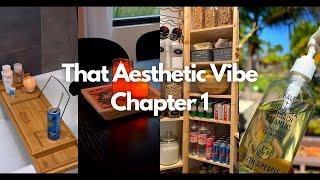 That Aesthetic Vibe Chapter 1 - The Aesthetic Corner