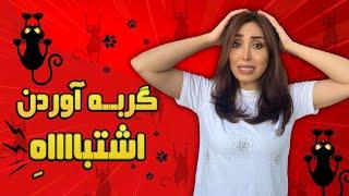 با وجود این چالش ها هنوزم حاضری گربه بیاری ؟ | دردسر های نگهداری از گربه