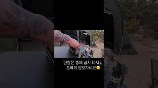 Camping 캠핑 택티컬 파우치속엔 무슨 템이 있을까? 두둠칫