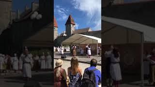 Estonian nations day 2019 from memory