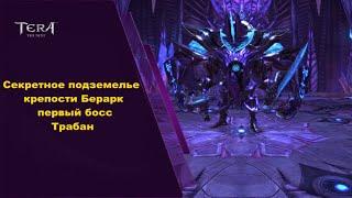 Крепость Берарк, 1 босс, гайд Tera online