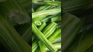 Drumstick Benefits ll Moringa Superfood ll Sahajan ll #shorts