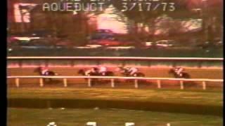 Secretariat - Bay Shore (G3) - Aqueduct Racetrack 03/17/1973