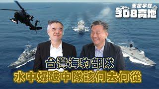 【王定宇在308高地】台灣海豹部隊_水中爆破中隊該何去何從_ ft.軍事專家諸葛風雲 @sunponyboy #王定宇