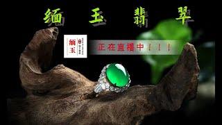 #中緬邊境翡翠市场#珠寶翡翠直播 2024.12.11#jewellery jadiete#珠宝代购#缅玉翡翠#YouTube 直播#翡翠戒面#满色戒面#玉石鉴定#翡翠鉴别#翡翠砍价#翡翠镶嵌#缅甸