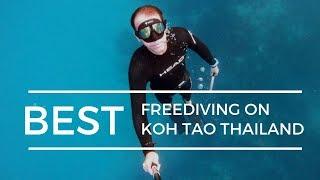 Beneath the Surface: Best Place for Freediving on Koh Tao Thailand