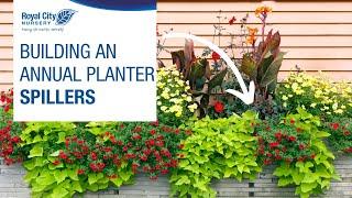 Get Growing Series: Building an Annual Planter - Spillers | Royal City Nursery