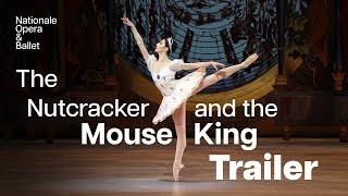 Enter the magical world of the Nutcracker and the Mouse King | Dutch National Ballet