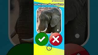 VERDADEIRO OU FALSO #5 #shorts #animals #quiz