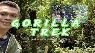 GORILLA TREK in Uganda! Africa vlog part 2