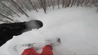 POV Powder Snowboarding Tight Trees at Jay Peak