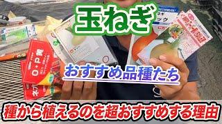 【玉ねぎ】種まきをする前にこれだけは知ってほしい　品種と注意について