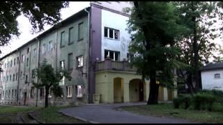 Bedzin: A Small Town Near Auschwitz