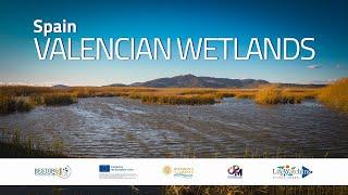 Restoring EU coastal wetlands | The Valencian Wetlands
