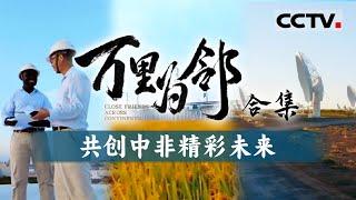 向心而行 中非万里为邻！多角度反映中非合作的实际成效 生动传递中非人民之间深厚的友谊与信任【CCTV纪录】