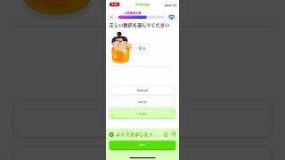 duolingo954日目