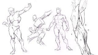 Studying Bridgmen for Figure Drawing