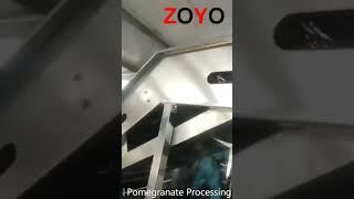 Pomegranate Washing Peeling Seeds Separating Processing Line