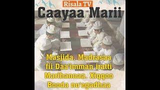 Risala TV: Turti Jila Cinaaqsaniratti