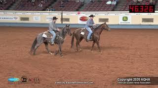 2020 AQHA Select Team Penning