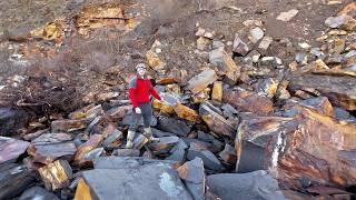 Huge LANDSLIDE Fossil Hunting! Reptile Bones, Crinoid, Fish, Ammonites and More!