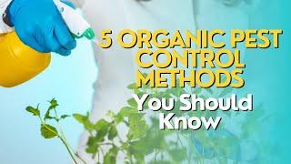 Top 5 Organic Pest Control Methods You Should Know