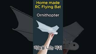 Home made RC Flying Bat_하늘을 나는 박쥐_Ornithopter #shorts #Ornithopter #Flapping_Wing #RC_Bat #RC_Bird