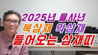 2025년 삼재띠 을사년에 복삼재 악삼재 들삼재가 드는 띠 돼지띠 토끼띠 양띠