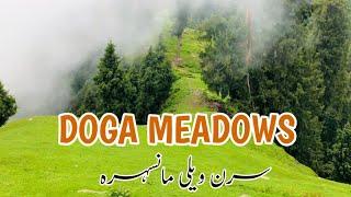 DOGA MEADOW || Just 2 Hours Hike From Mundi || Siran Valley Mansehra || Hazara Kpk ||  Tour Sure