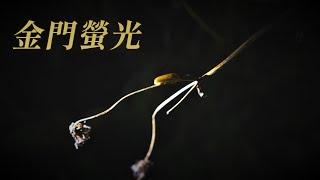 【螢火蟲復育】金門螢光｜重新找回螢火蟲棲地 (我們的島 第1066集 2020-08-03)