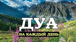 ДУА ДЛЯ ИСПОЛНЕНИЯ ЖЕЛАНИЙ СЛУШАЙТЕ КОРАН !! КАЖДЫЙ ДЕНЬ.