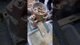 Peanut shell Maize Animal Feed Pellet Machine