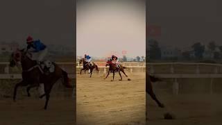 #horseracing #krc #horselovers #sports  #equestrian #karachiraceclub #youtubeshorts YouTube