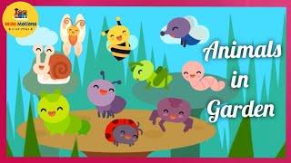 Learn Animals in Garden | Names and Sounds