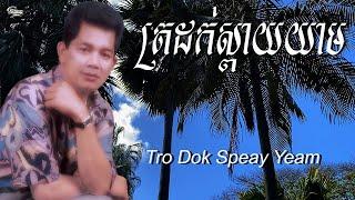 ឈួយ​ សុភាព-ត្រដក់ស្ពាយយាម​ Chhouy Sopheap -Tro Dok Speay Yeam [Official Audio]