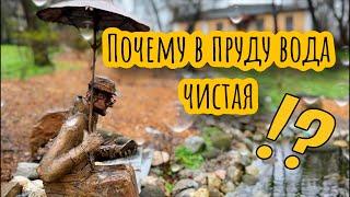 Чистый пруд весь сезон. Как сделать воду чистой в меленьком пруду