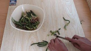 Chong Aloo Recipe | Caralluma Fimbriata Vegetable | چونگا | By Shayan Cooking Foods