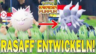 RASAFF Fundort & zu EPITAFF Entwickeln in Pokemon Karmesin & Purpur