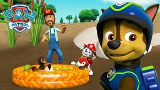 Marshall ratuje staw z kaczkami i inne akcje ratunkowe zwierząt! - Psi Patrol PAW Patrol po polsku