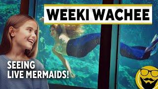 Legendary Mermaids of Weeki Wachee Springs State Park // History & Visitor Guide 2022