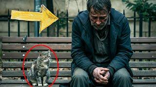 Hopeless Man Meets a Stray Cat, But What This Cat Does Changes Everything!