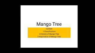 Mango Tree. Classification, History and Economic Importance.