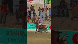 Nazaid Darelo  Rufus️ #zeeshan #youtubeshorts #horselover #horseriding#horse #player #legends