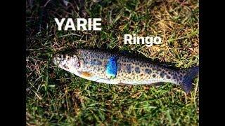 Yarie Ringo [ Trout area ]