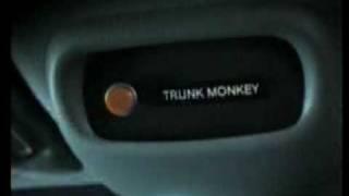 SuburbanTrunkmonkeyAd